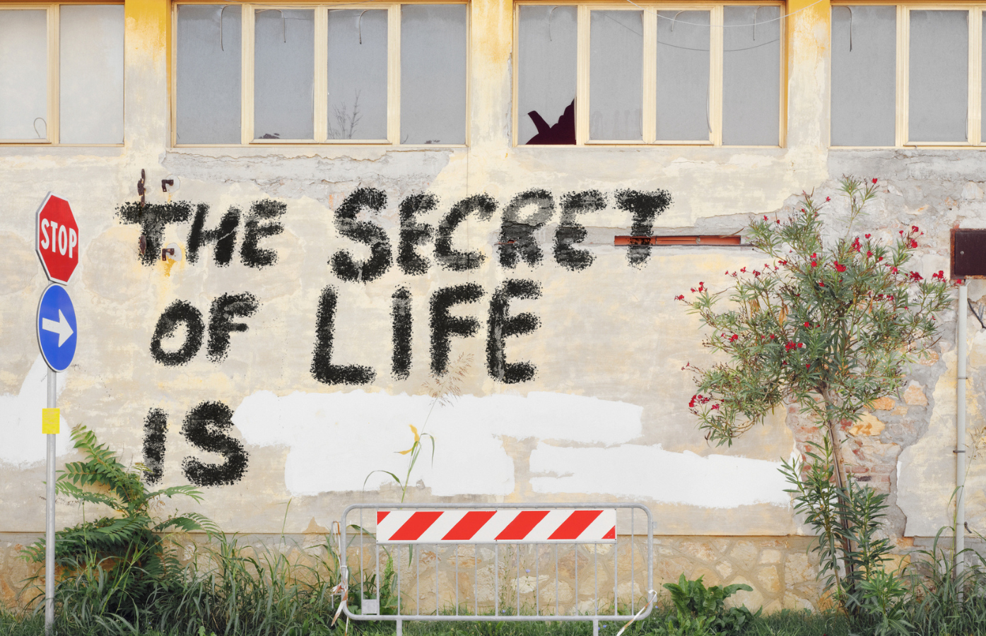Image of graffiti on a wall reading 'the secret of life is' with a gap following